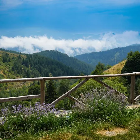 Hotel нашето място, село зорница Zornitsa